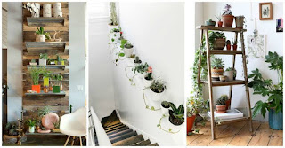 Home Decor with Plants